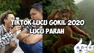 Kumpulan tik tok lucu 2020 auto ngakak