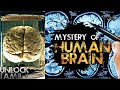 4 million years mystery of human brain       unlock tamil