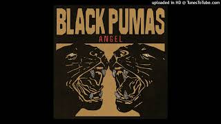 Black Pumas - Angel
