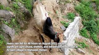 The urgent FFA Food Security Intervention project | Al Qarn Village, Yemen