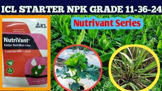 ICL NPK 11:36:24 FERTILISER |Starters Grade 11:36:24 | icl fertilisers