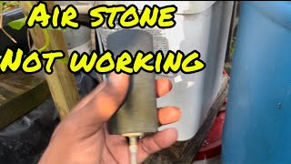 Air stone isn’t working? (Episode 91) by The Amateur Aquaponics Guy 115 views 2 weeks ago 2 minutes, 8 seconds