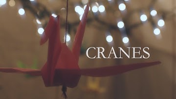 CRANES