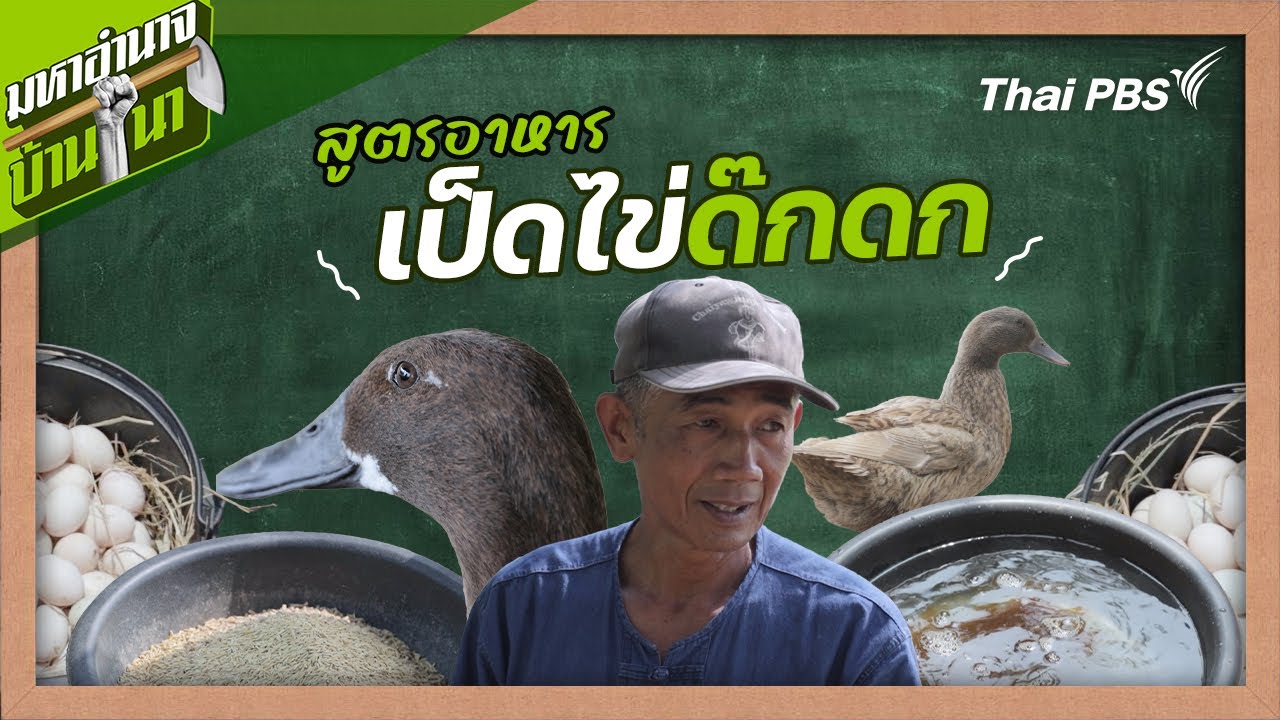 สูตรอาหารเป็ดไข่ด๊กดก | สูตรลับฉบับบ้านนา | มหาอำนาจบ้านนา