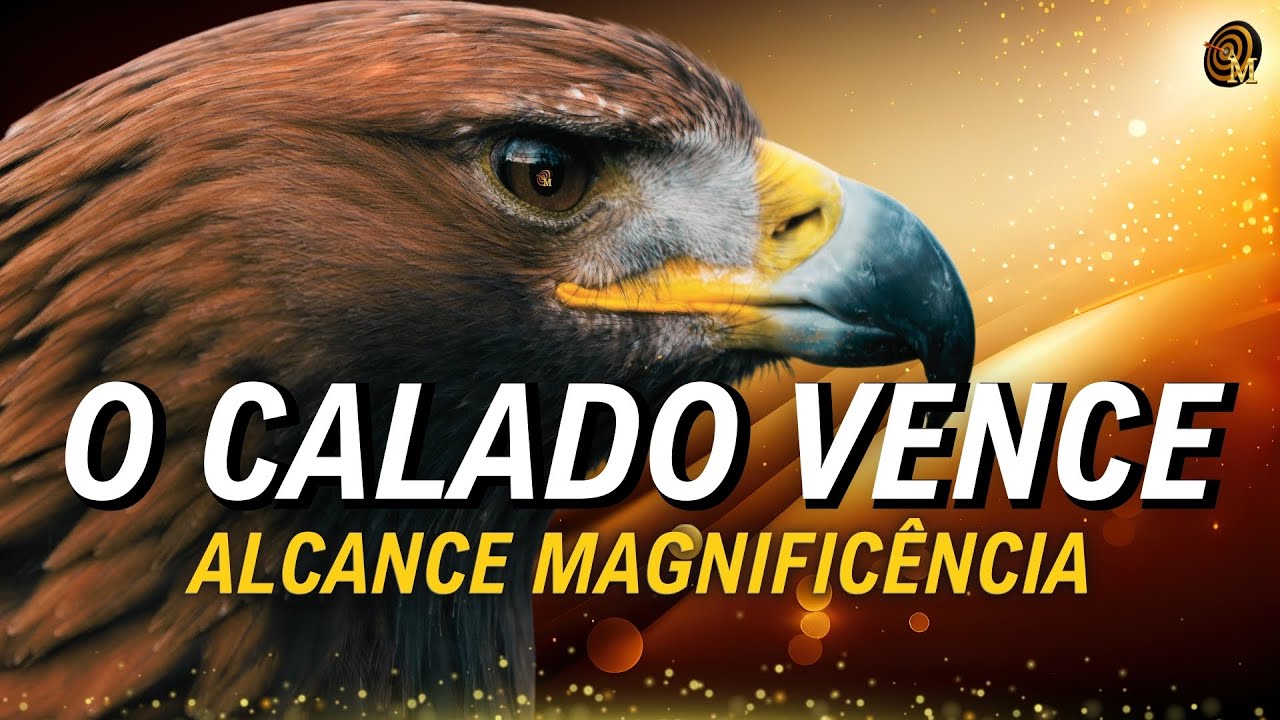 ⚠️FOQUE EM VOCÊ E VENÇA!! | Reflexões de Sabedoria para Melhorar sua Vida