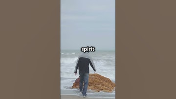 Chase Your Dreams  A Visual Symphony  #facts  #motivation #embracefailure #inspiration