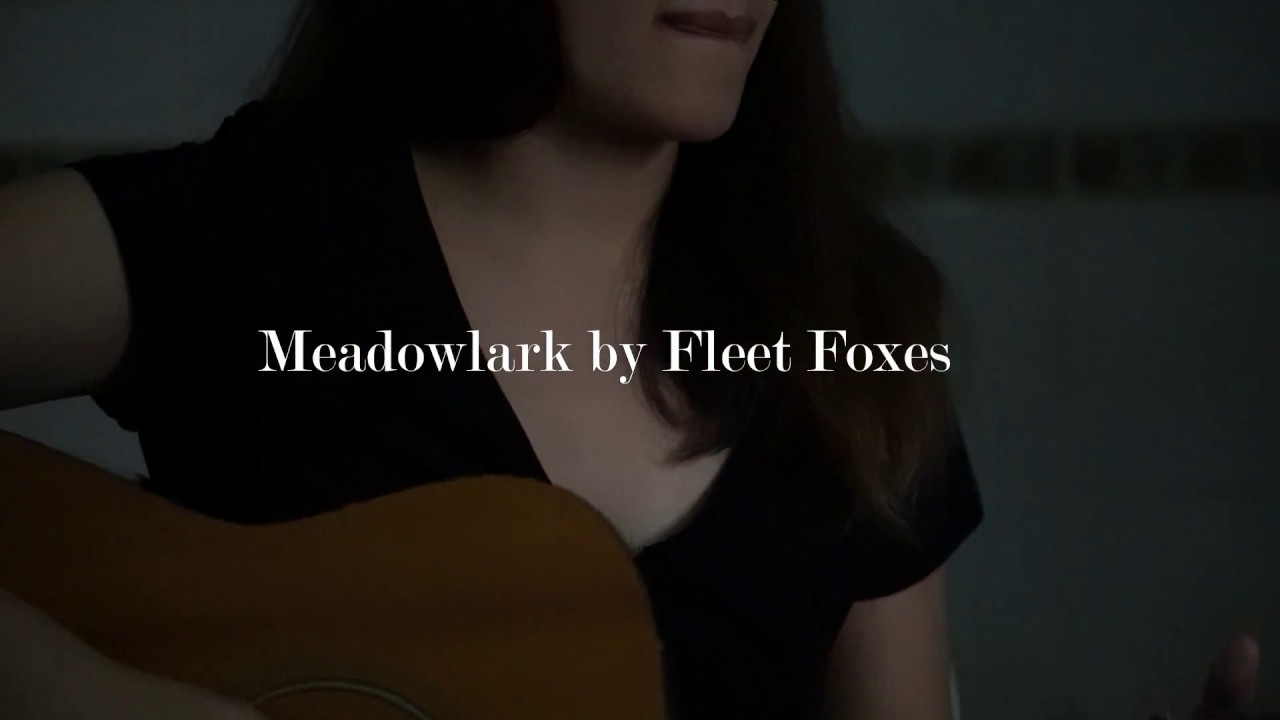 Meadowlark by Fleet Foxes (Cover) YouTube