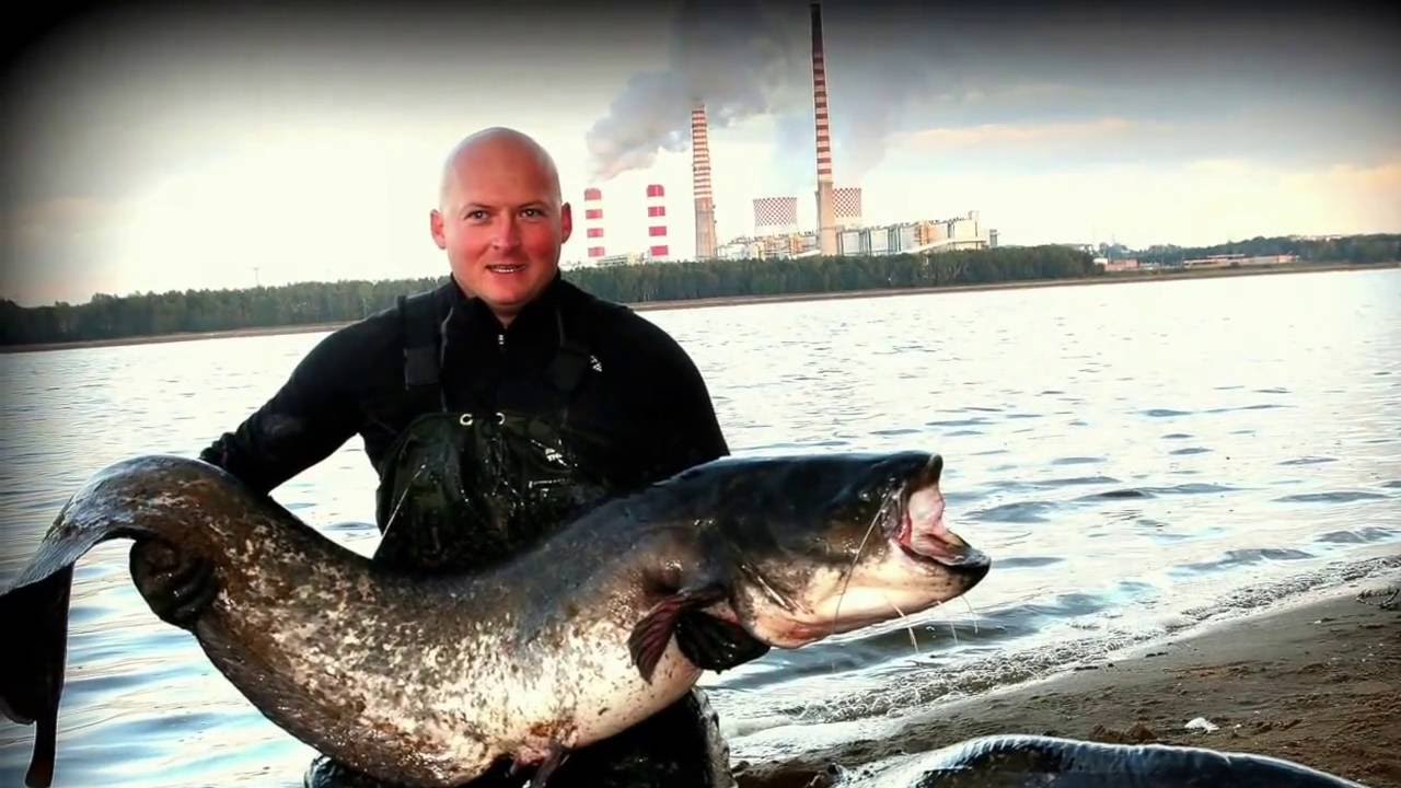 Massive Baits Rybnik Poland