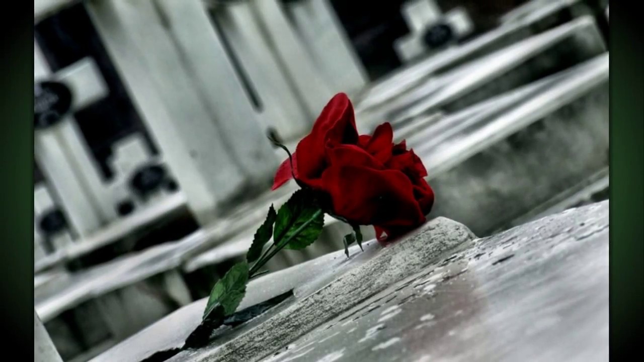 POLSKIE DROGI DO WOLNOŚCI - YouTube