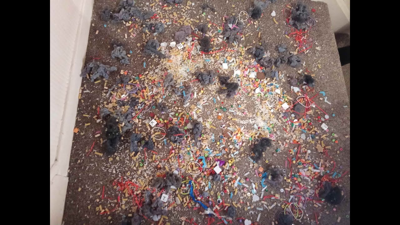 Right Lint Delight Vac