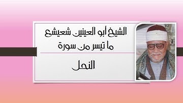 سورة النحل للأستاذ الشيخ أبو العينين شعيشع