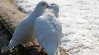 Elvan - Ben ben oldum sen kayan bir yildiz