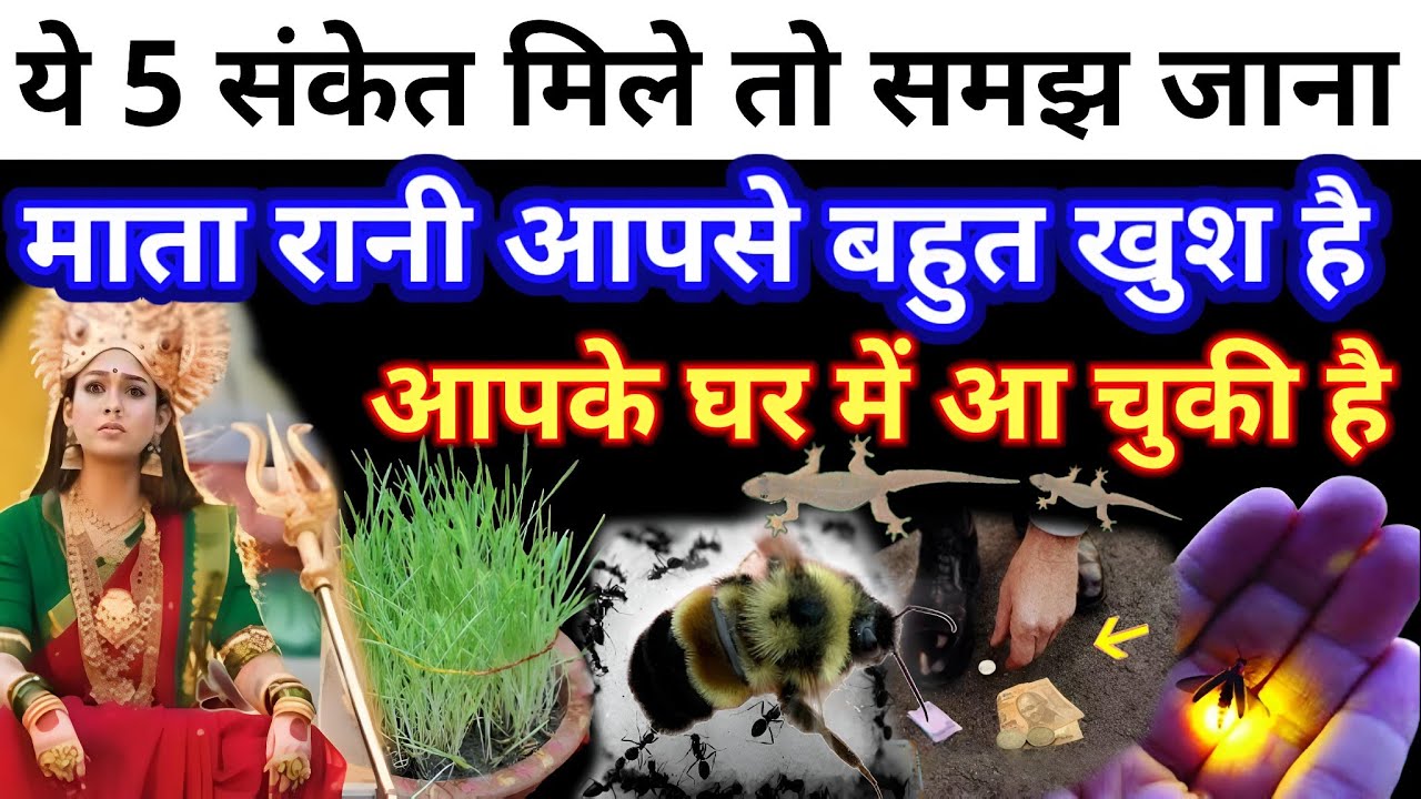 नवरात्रि में मिलने लगे ये 5 संकेत तो समझ जाना मां दुर्गा आपके साथ में है ? आपसे बहुत प्रसन्न है 😱