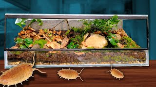Building the ULTIMATE Isopod Tank