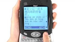 Lingo® Voyager 6 (Model TTV-6)  14 Language Talking Translator screenshot 2