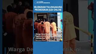 Perawat Selebgram Tulungagung Ditangkap Polisi Gara-Gara Promoan Judi Online