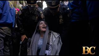 Plot to firebomb Palestinian activist’s home disrupted by NYPD undercover operation