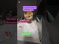 #kedi #cat #dog #köpek #keşfet #youtube #reels #viral #shorts #short #funny #fyp #almanya #avrupa