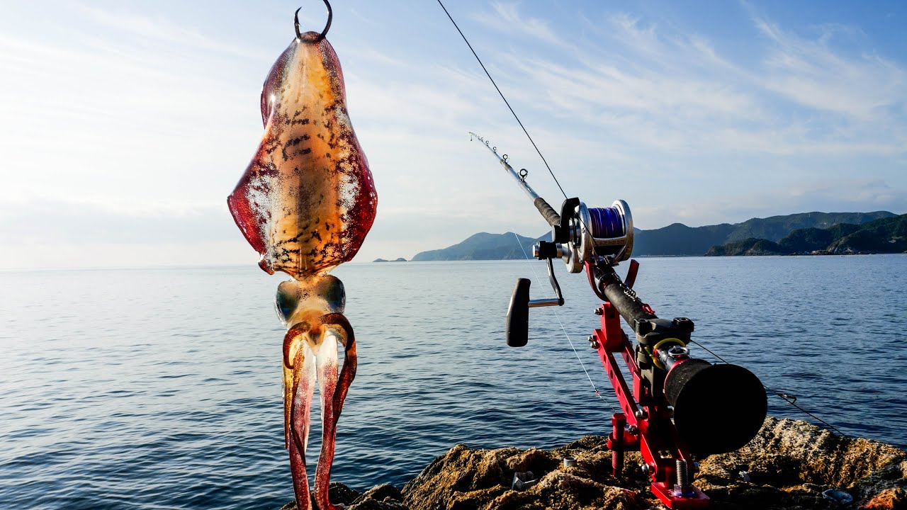 港近くの小さな無人島で冬の36時間クエ釣りキャンプ🔥