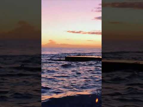 خالد عبد الرحمن الصورة المكسورة