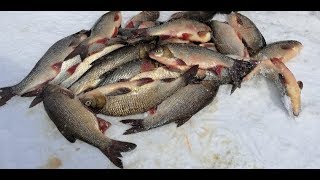 Весенняя Рыбалка На  Язя.часть Вторая.рыбалка 2019.