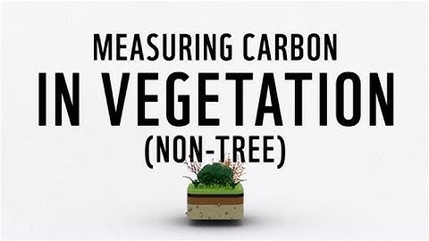 Carbon measurement technical training | Vegetation