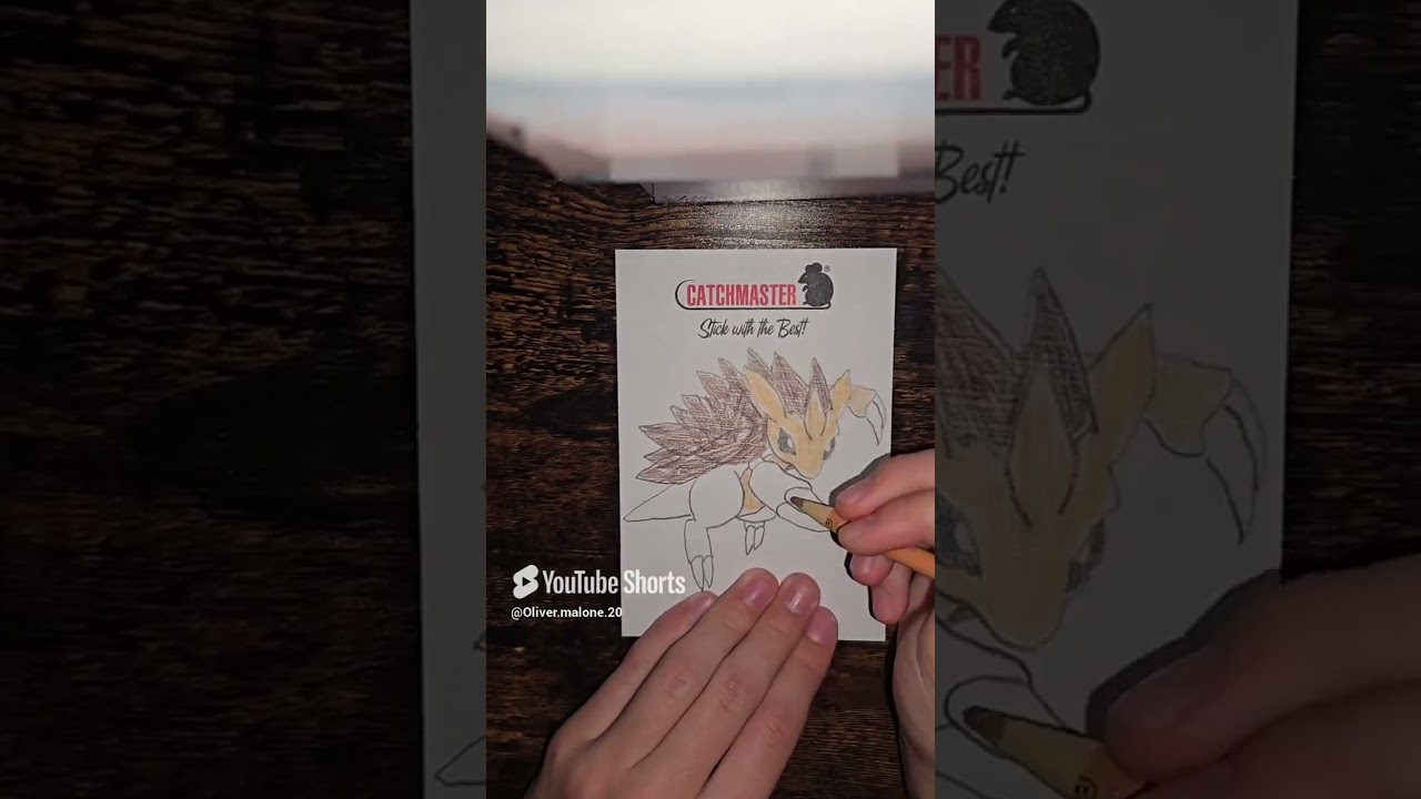 What do you guys think 