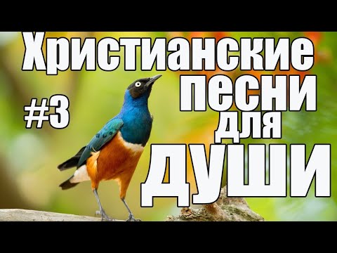 Христианские Песни Не Новые