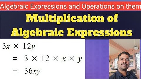 Multiplication of Algebraic Expressions of class 7 | Algebraic Expressions and Operations on them.