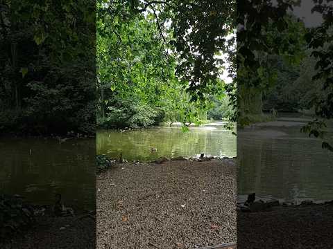 Chesterfield Queen's park 🌳🦆#entrance #chesterfield #park #trip #uk #nature #relax #vibes #igasebcio