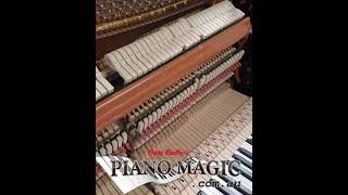 Installation of QRS Pianomation on a Hailun Bernstein 123 by Gary Bailey's Piano Magic 1,166 views 3 years ago 1 minute, 44 seconds