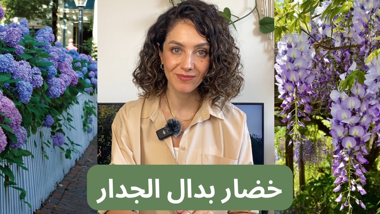 خضار بدال الجدار: ليش بنفضل نستخدم النباتات كسور + أنواع النباتات المناسبة 