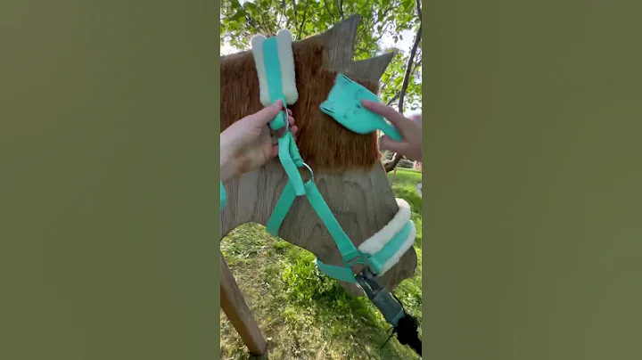 GRWM part 2 #horse #woodenhorse #holzpferd #grwm #equestrian #ponymalta #pony #hh #ride #riding