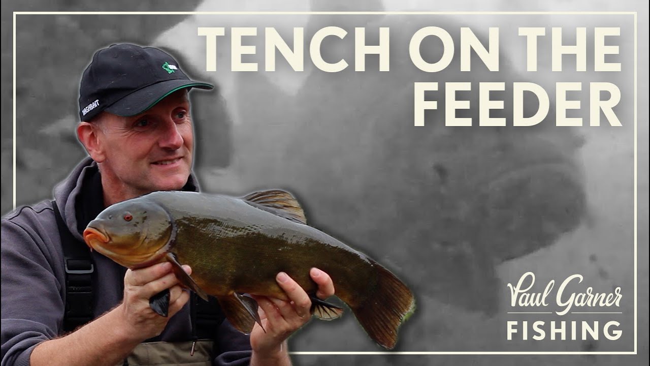 Tench Fishing : Feeder Fishing 