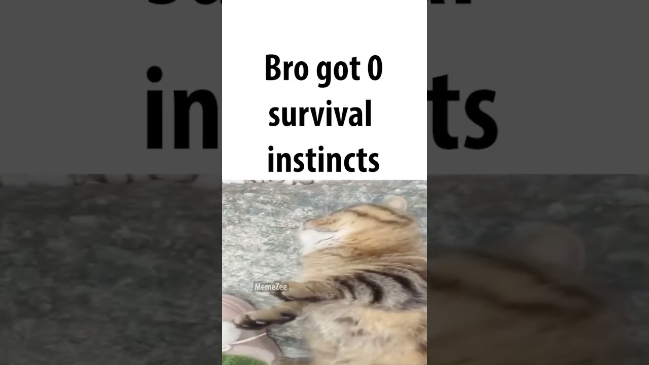 Bro Got 0 Survival Instincts