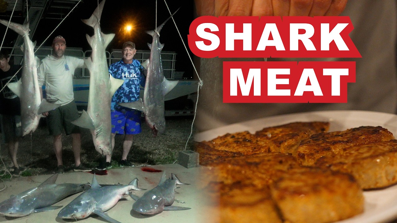 How To Breakdown and Prep Shark Meat