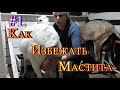 Как избежать мастита у коз  / Уход за выменем / Доильная комната