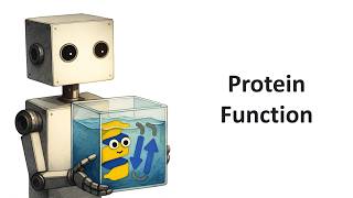 06 Protein function