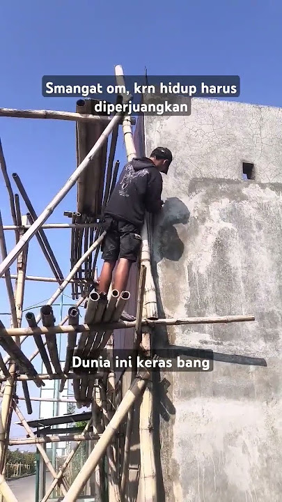 hutan rimba penuh hewan buas