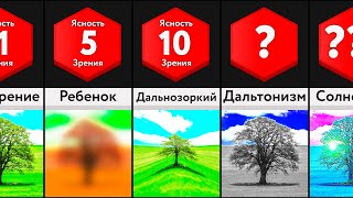 Зрение Человека