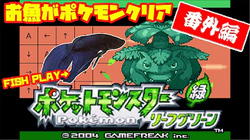 ポケモンbgm ポケモンbgm