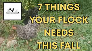 7 Things Your Flock Needs This Fall