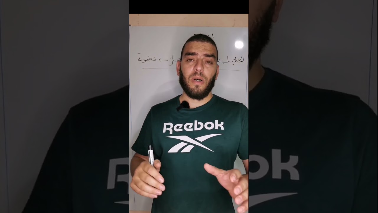 تقويم تشخيصي 07 للسنة الرابعة متوسط