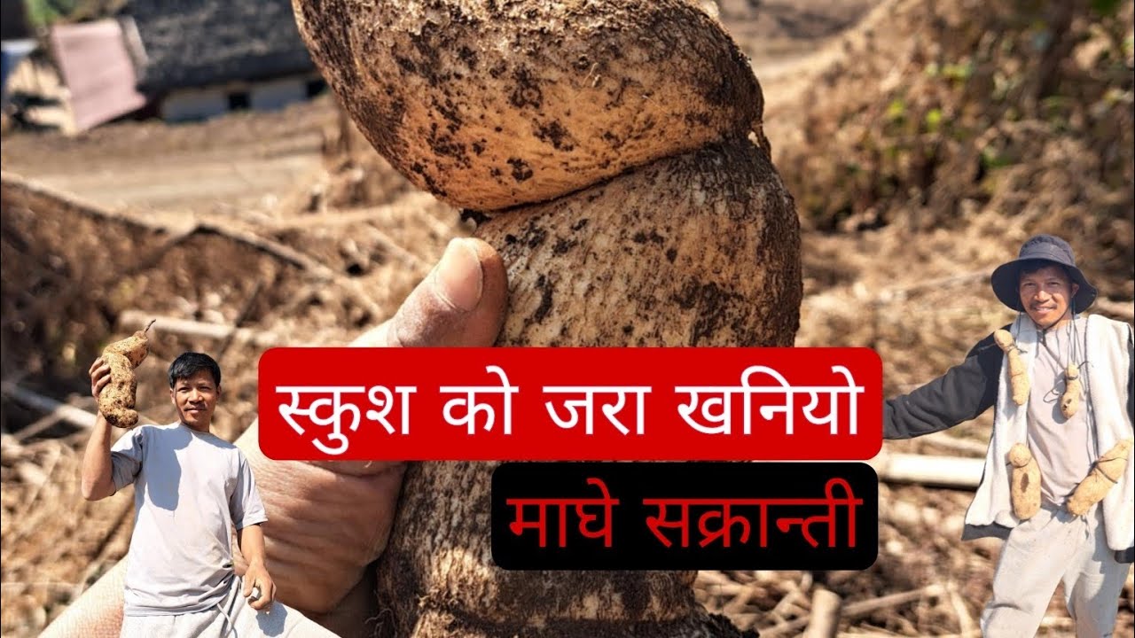 Maghe Sakranti Ko Skush Ko Jara Khandai (माघे सक्रान्ती ) - Nepali Vibes