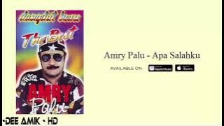 AMRY PALU DISCO DANGDUT 2021