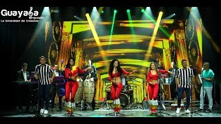 Guayaba Orquesta - La Carta # 3/Paloma Guarumera/Un Poquito De Cariño (En Vivo) chords sheet