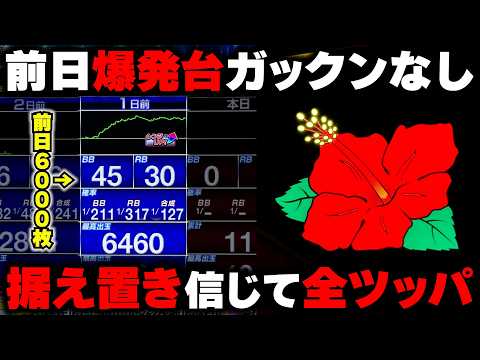 Hanahana] A high-setting machine that paid out over 6000 coins the