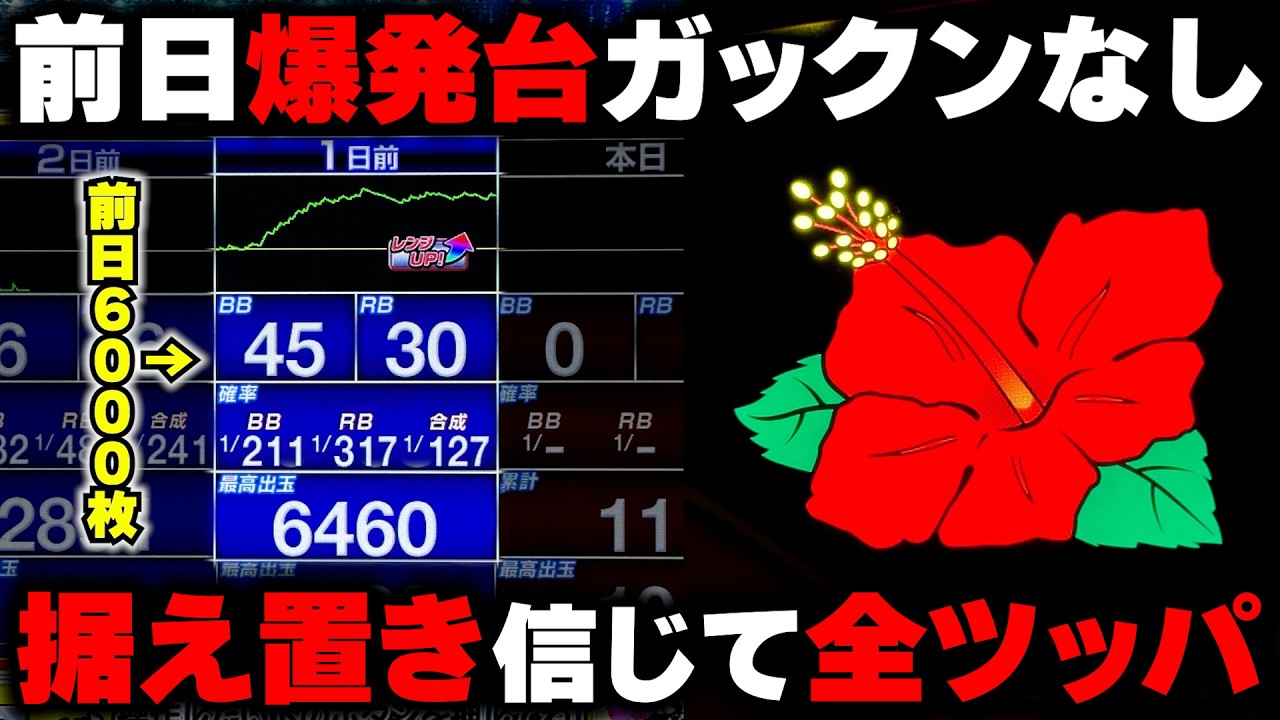 Hanahana] A high-setting machine that paid out over 6000 coins the
