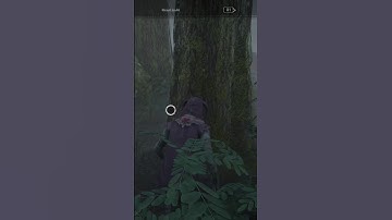 Wondering what your teammates are doing while you loop🤔🫤#dbd #deadbydaylight #shorts #shortvideo