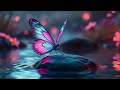 Tranquil Piano and River Ambience for Inner Healing #innerpeace